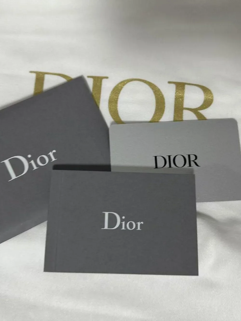 Dior this bag